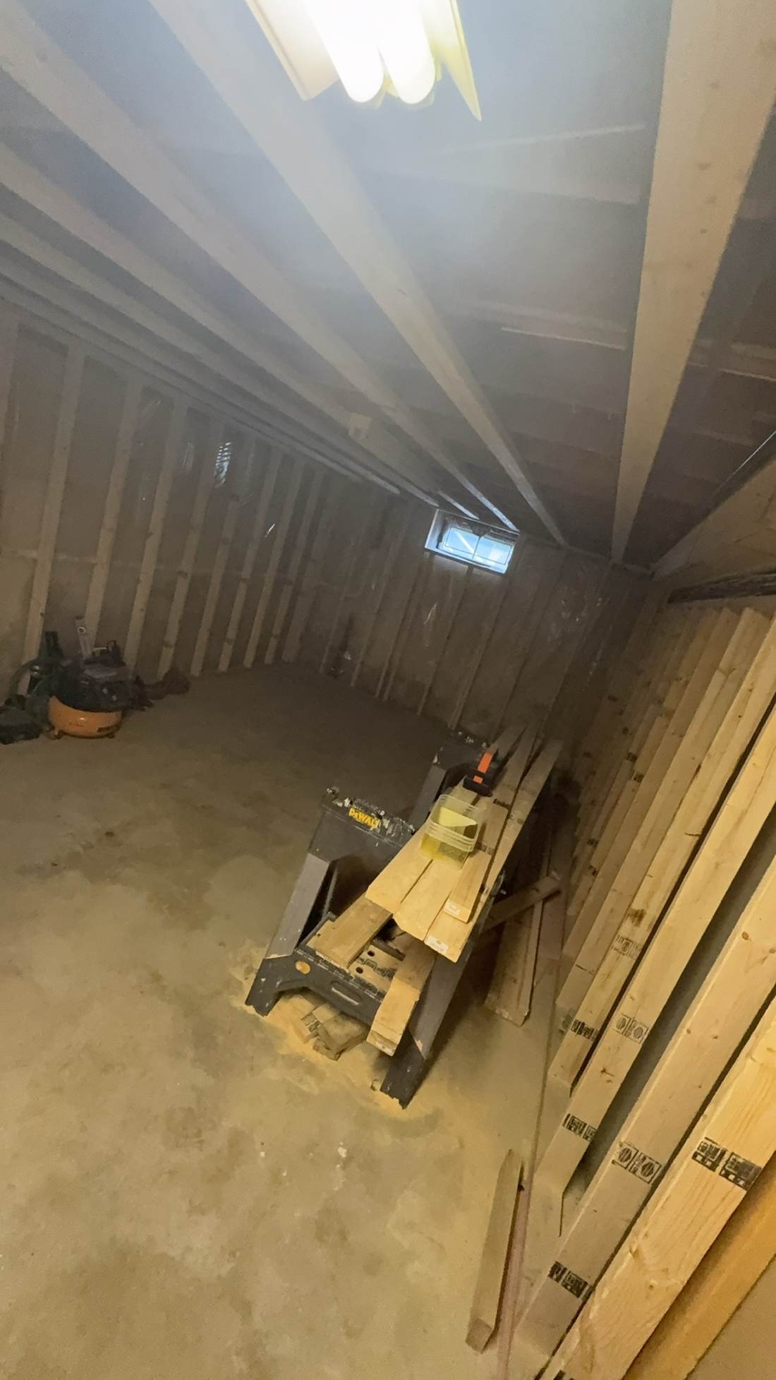 Framed basement room with plumbing rough-in and insulation