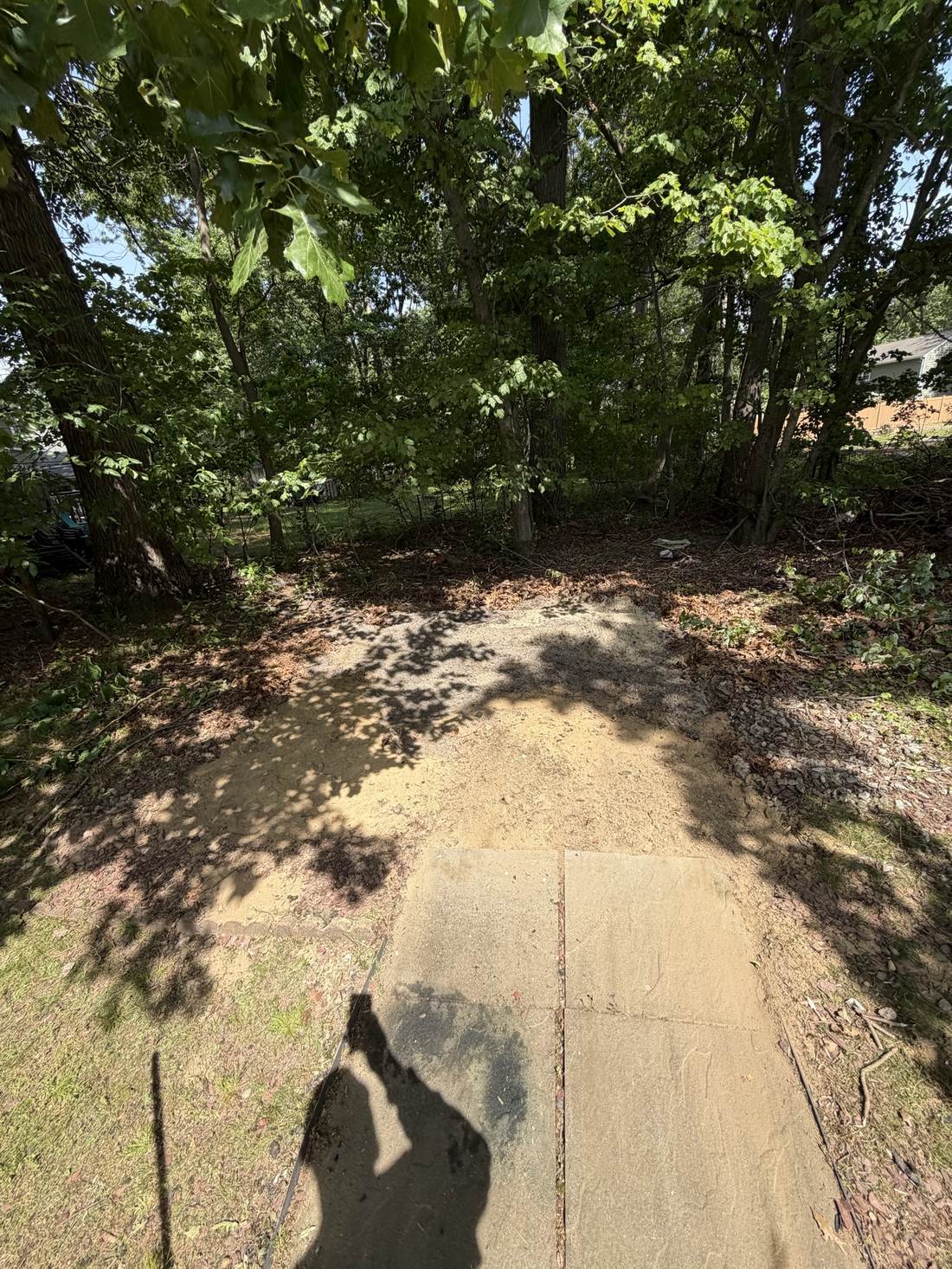 Same yard after the shed was torn down and the area cleared