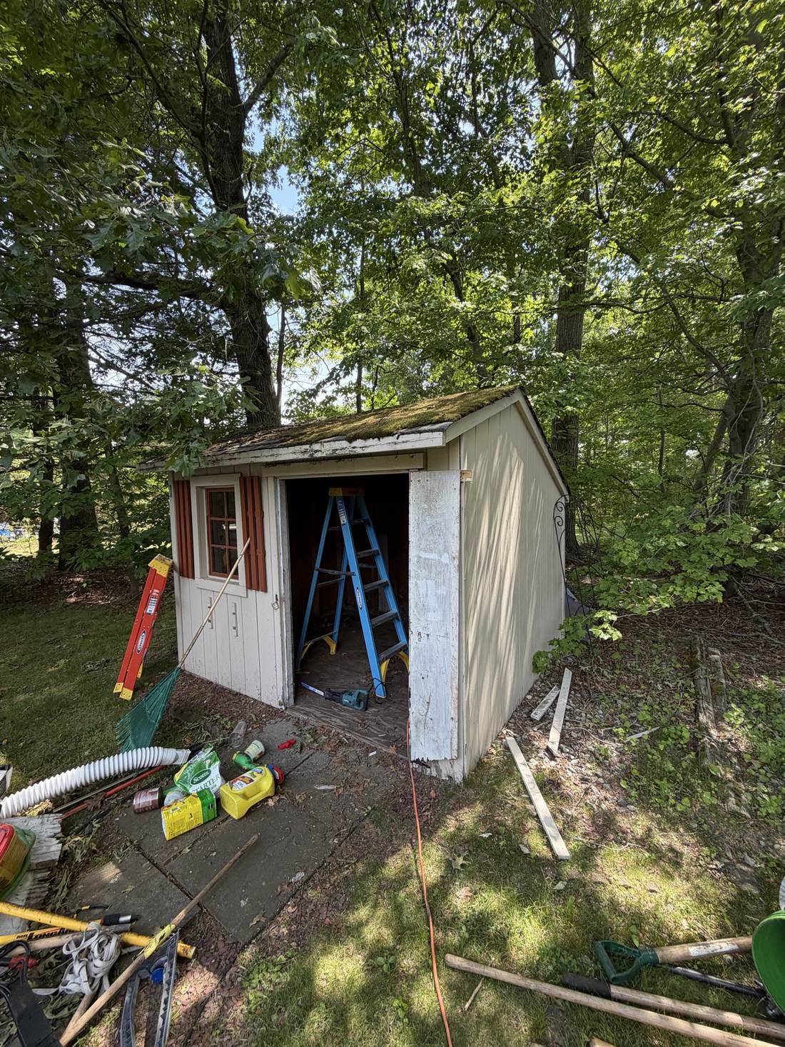 Shed exterior being cleared out ahead of teardown